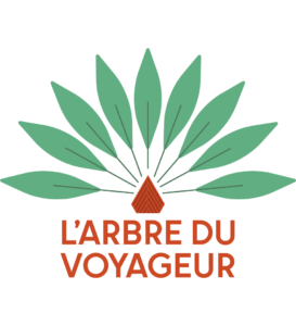 L'arbre du voyageur